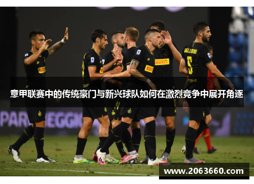 意甲联赛中的传统豪门与新兴球队如何在激烈竞争中展开角逐