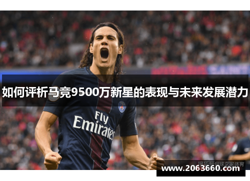 如何评析马竞9500万新星的表现与未来发展潜力