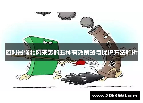 应对最强北风来袭的五种有效策略与保护方法解析