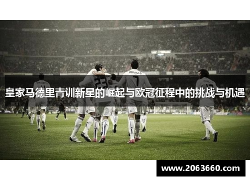 皇家马德里青训新星的崛起与欧冠征程中的挑战与机遇