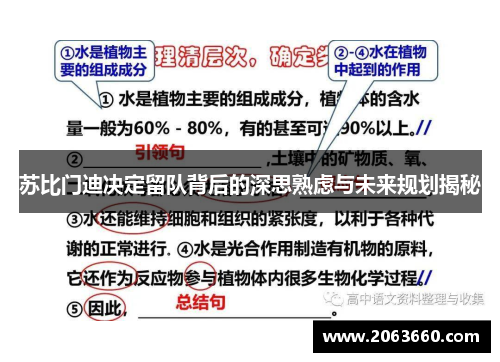 苏比门迪决定留队背后的深思熟虑与未来规划揭秘