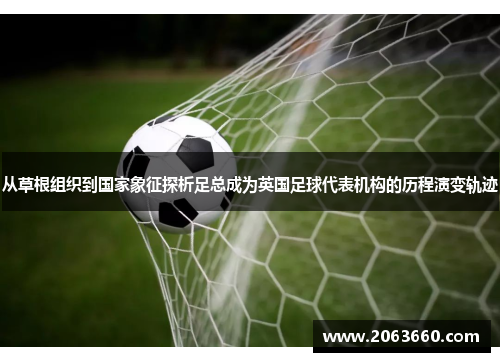 从草根组织到国家象征探析足总成为英国足球代表机构的历程演变轨迹