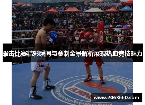 拳击比赛精彩瞬间与赛制全景解析展现热血竞技魅力