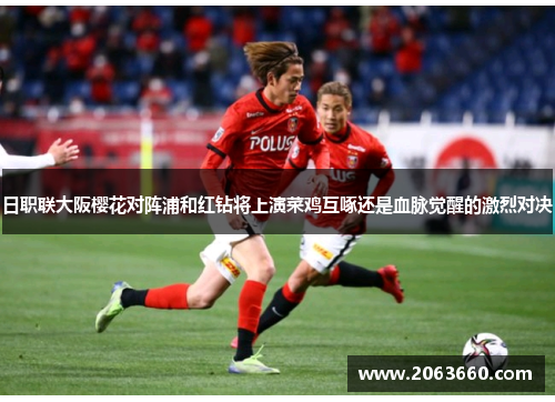 日职联大阪樱花对阵浦和红钻将上演菜鸡互啄还是血脉觉醒的激烈对决